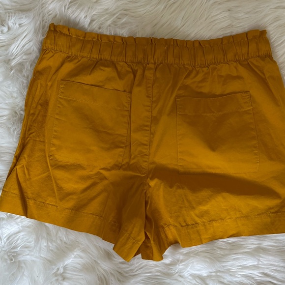 LOFT Mustard Color shorts - Picture 3 of 4